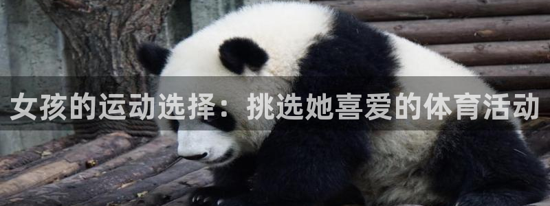 球客岛：女孩的运动选择：挑选她喜爱的体育活动