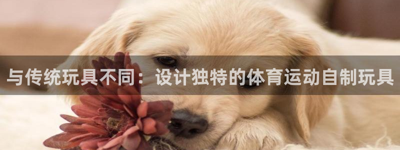 球客岛：与传统玩具不同：设计独特的体育运动自制玩具