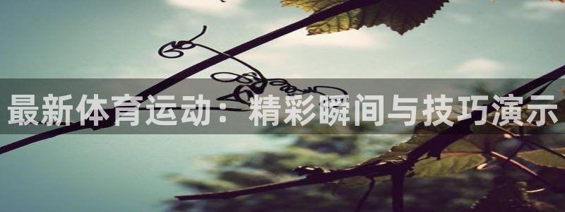 球客岛：最新体育运动：精彩瞬间与技巧演示