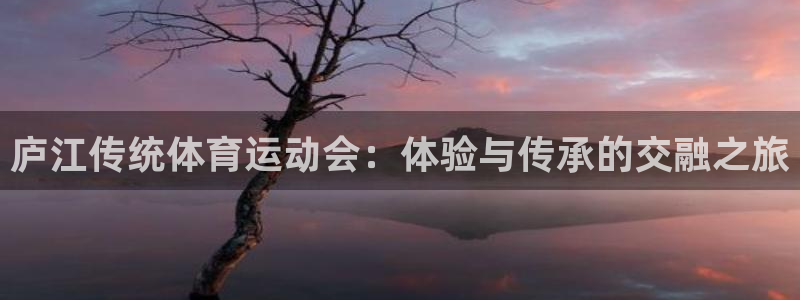 球客岛：庐江传统体育运动会：体验与传承的交融之旅