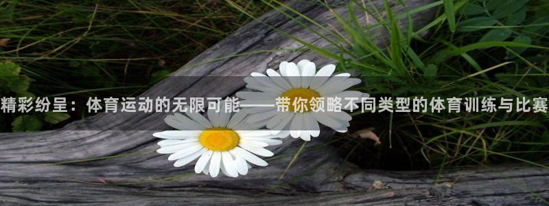 球客岛：精彩纷呈：体育运动的无限可能——带你领略不同类型的体育训练与比赛