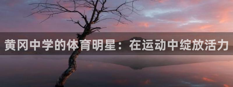 球客岛：黄冈中学的体育明星：在运动中绽放活力