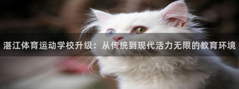 球客岛：湛江体育运动学校升级：从传统到现代活力无限的教育环境