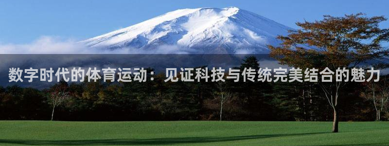 球客岛：数字时代的体育运动：见证科技与传统完美结合的魅力